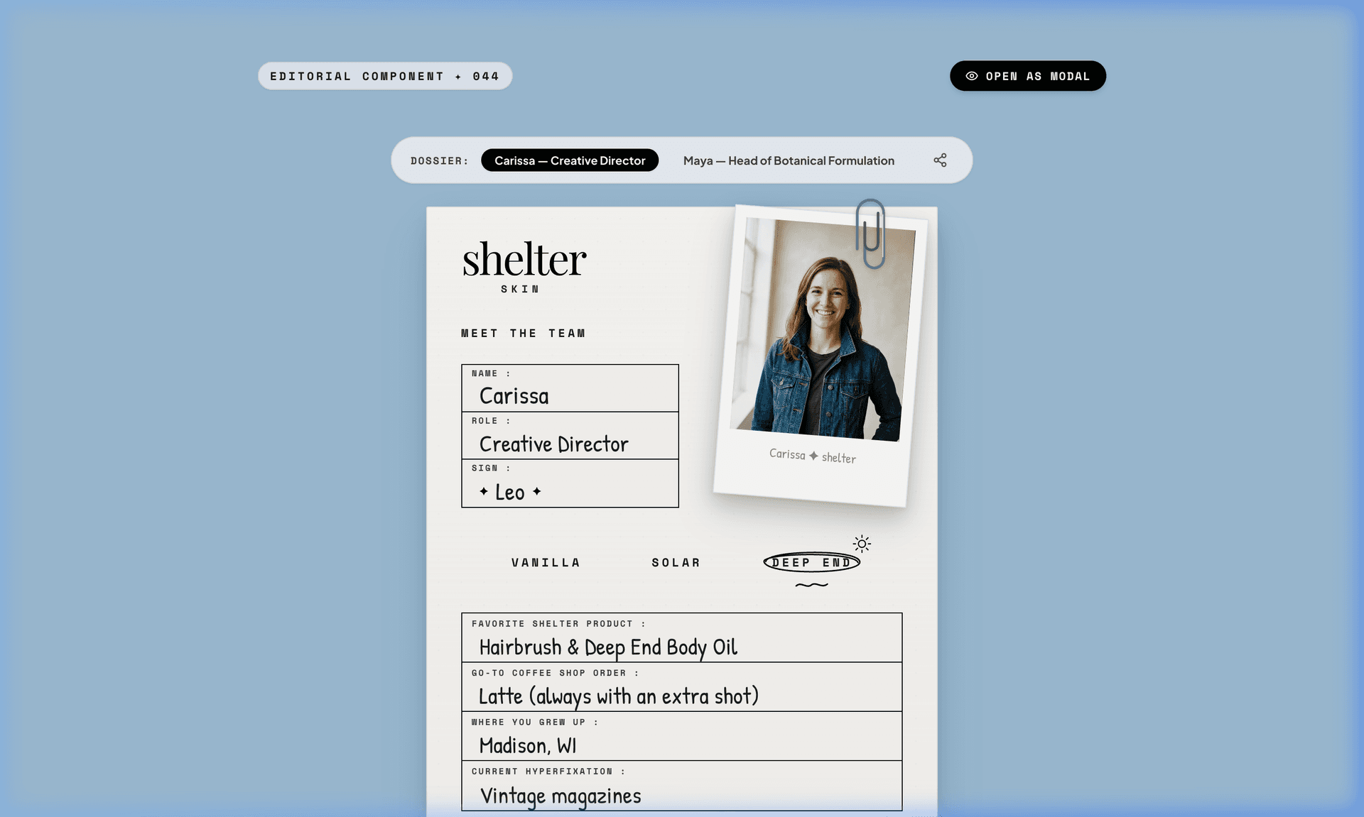 Shelter Skin — Meet The Team Dossier